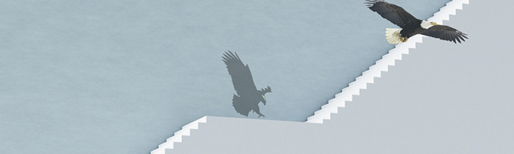 皇家国际·(中国区)有限公司官网